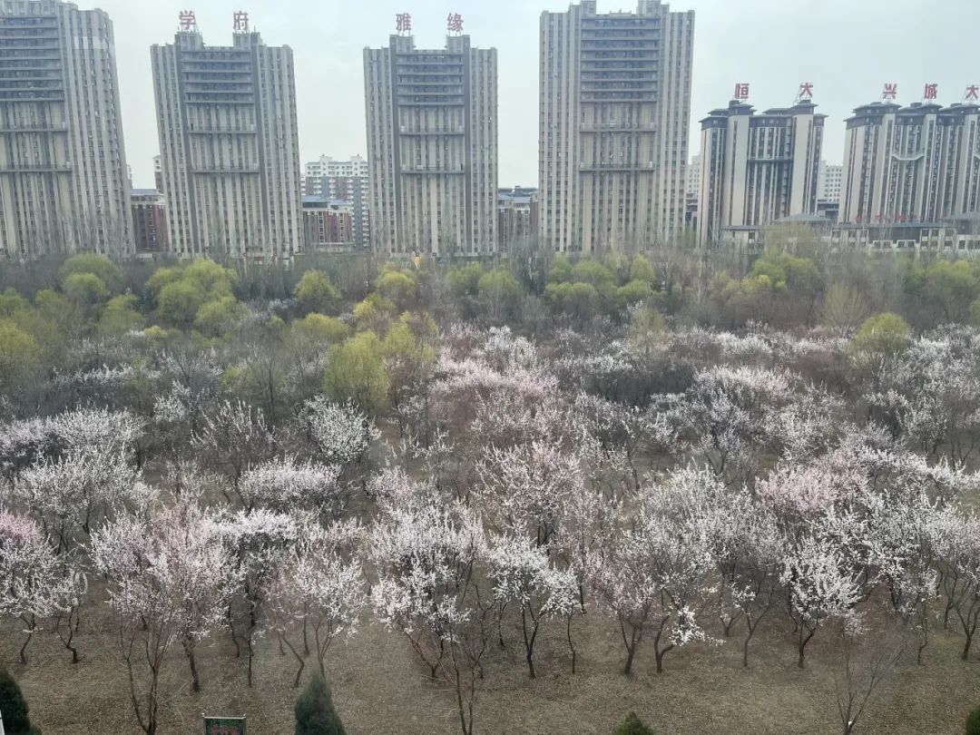 8软件22-13周益民.jpg