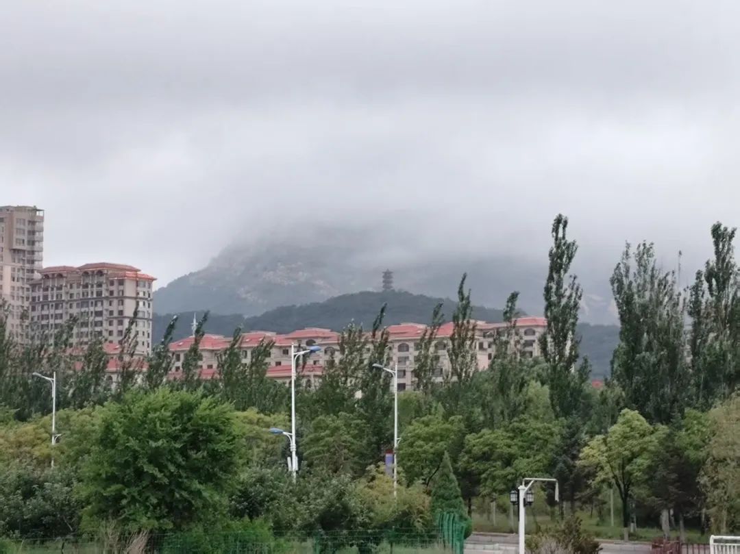 5软件22-13吴鑫宇.jpg